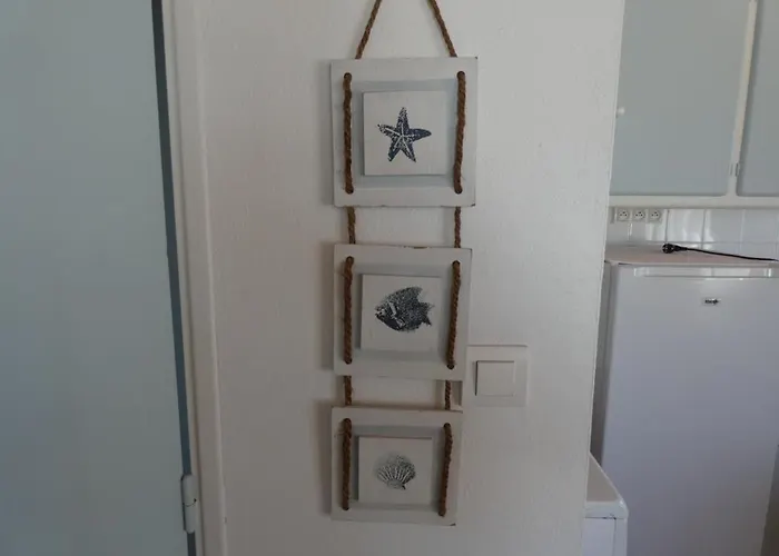 Lumineux A - Animaux Admis - Fr-1-540-301 *