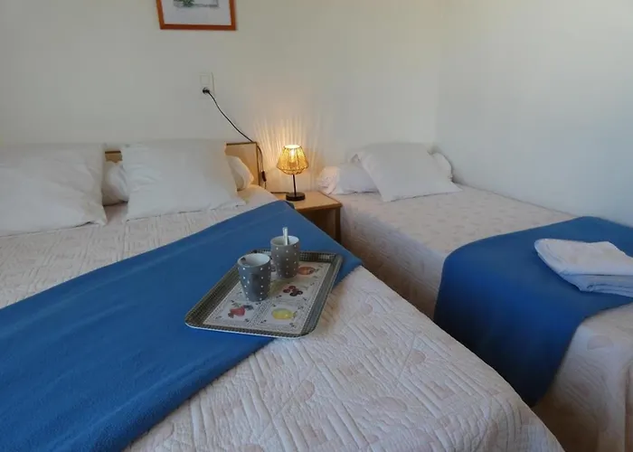 Lumineux A - Animaux Admis - Fr-1-540-301