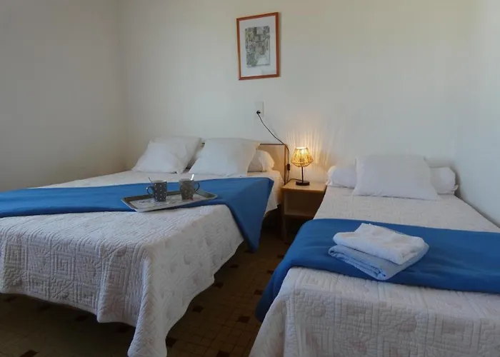 Lumineux A - Animaux Admis - Fr-1-540-301 *