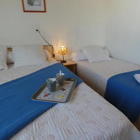 Lumineux A - Animaux Admis - Fr-1-540-301